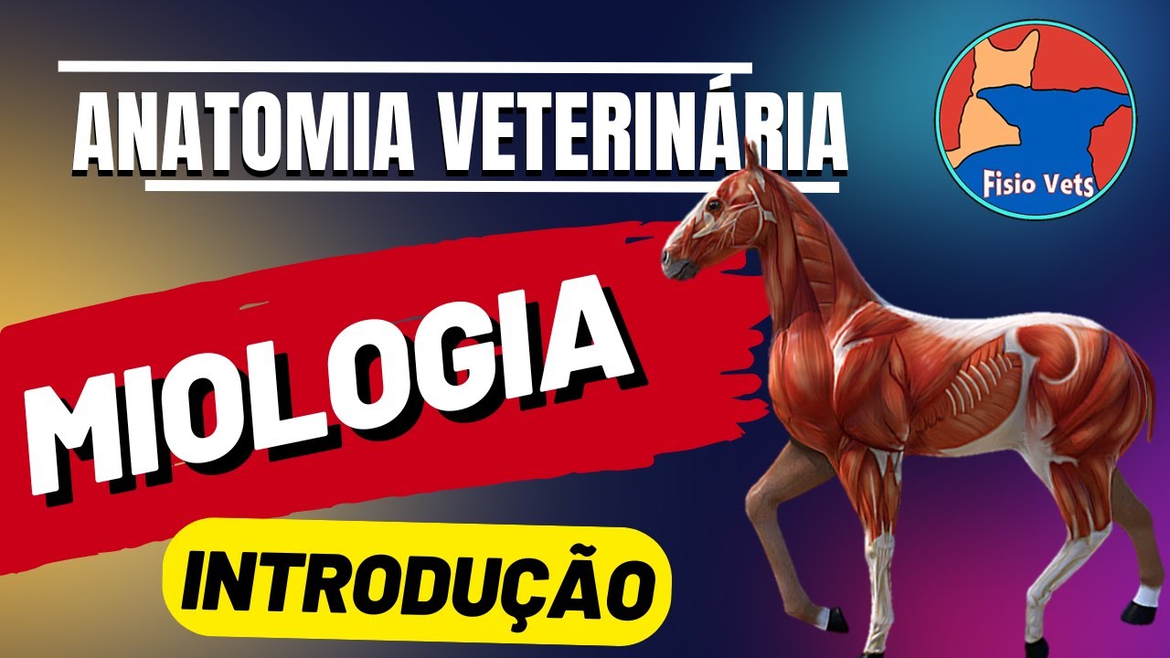 Miologia veterinária - Introdução