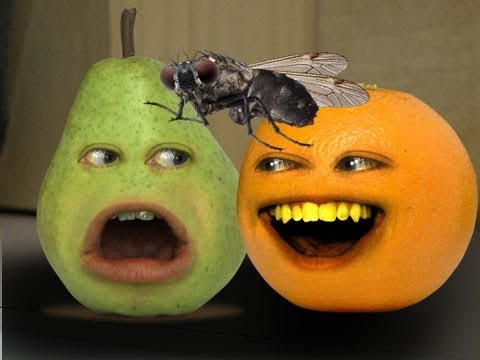 Annoying Orange - Pet Peeve