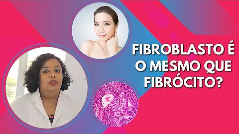 Quais os fatores de crescimento que agem nos fibroblastos?