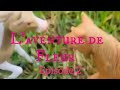 Laventure de fleur pisode 2