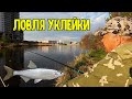 Ловля уклейки в весенний период.Засолка уклейки.