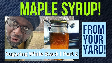 HOMEMADE MAPLE SYRUP | Boiling Down Sap to Make Syrup | Part 2