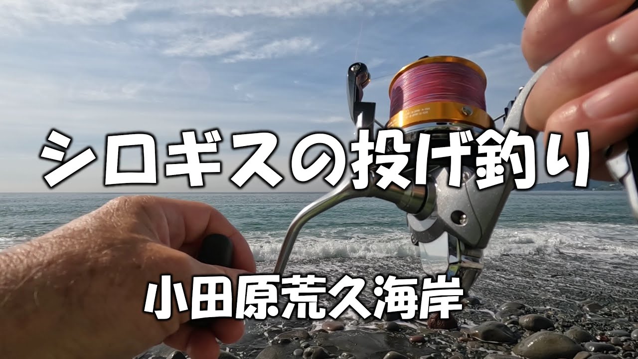 シロギスの投げ釣り　小田原荒久海岸