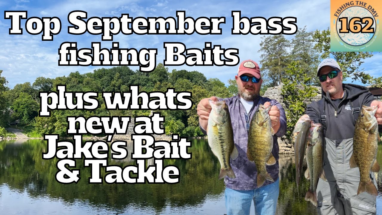 Top Baits for September Bass Fishing Success!!! live from Jake's Bait &  Tackle! 