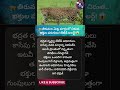 #tirumala #leopard #srivarimettu #ttd #tirupati #alipiri #wildlife #danger #alert #pilgrims #safety