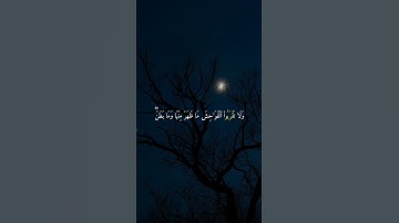 سورة الأنعام { ١٥١ } #ياسر_الدوسري انشر تؤجر #quran
