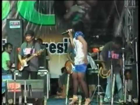 Download Video Bunga Bunga Rindu Bunga Rindutaman Yg Indah Di Kebunkubunga Mawar Merah Disitudia Slalu Berseri Seridi Bawah Sinar Matahari Waktu Pagiingin Kupetik Bunga Mawarkan Kuberikan Pada S Orangsebagai Tanda Kasih Sayangpada