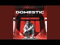 DOMESTIC Inst mp3