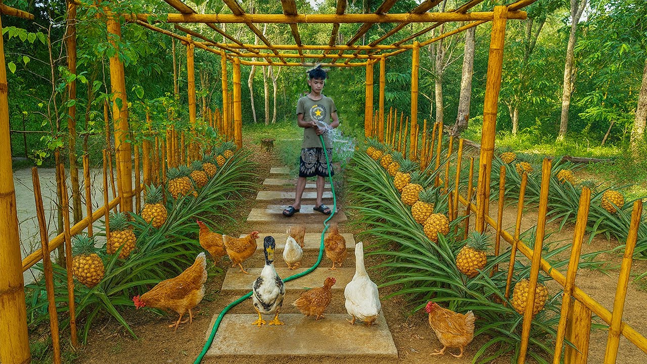 Timelapse Building Chicken and Duck Feeder | Orphan Boy’s Daily Life