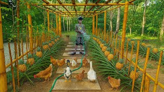 Timelapse Building Chicken and Duck Feeder | Orphan Boy’s Daily Life