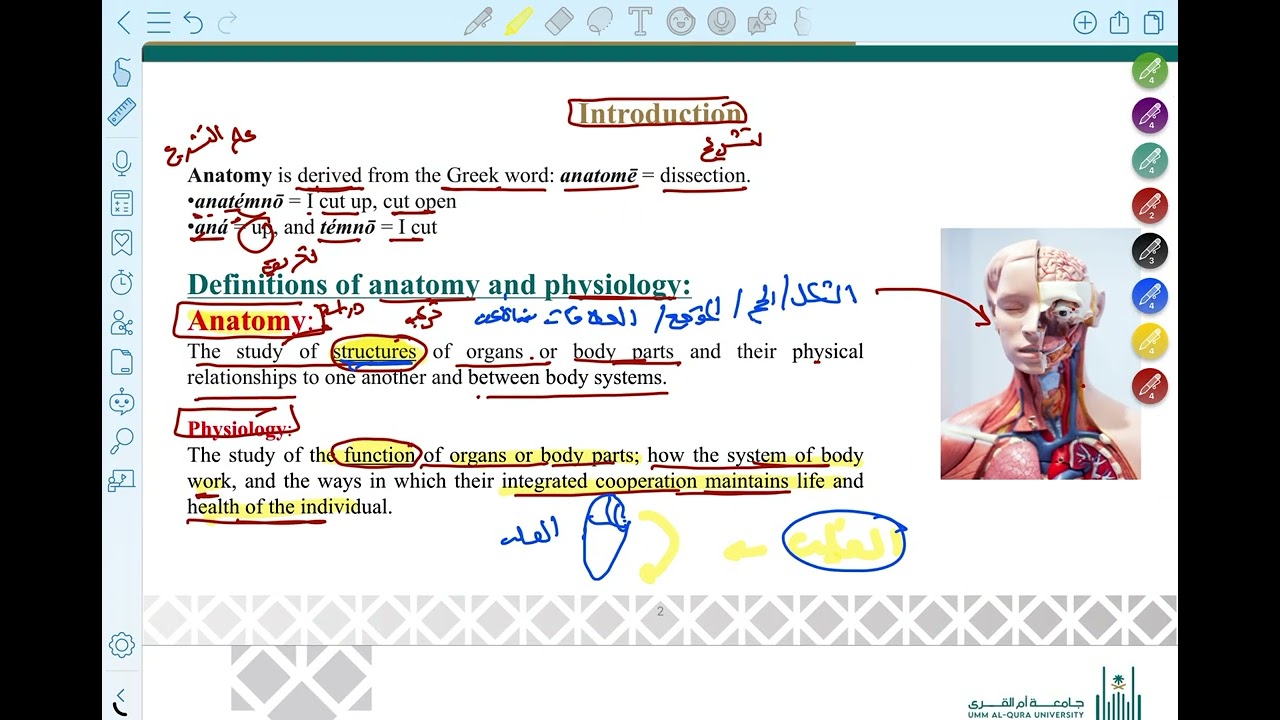 علم التشريح ووظائف الأعضاء/ جامعة أم القرى