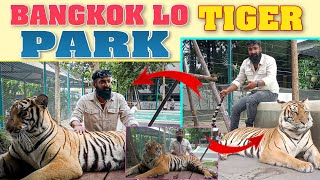Bangkok Lo Tiger Park | Pareshan Boys | Pareshan family