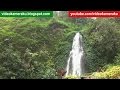 1 Hour Waterfall Sound - Tropical Rainforest With Birds Sound - Live Recording