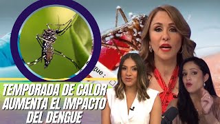 Temporada de calor aumenta el impacto del dengue y de enfermedades respiratorias