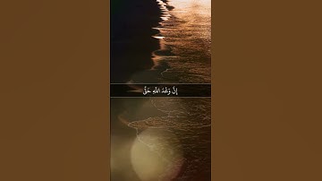 سورة الأحقاف | الآية ١٧ | الشيخ ياسر الدوسري | #القرآن_الكريم #قرآن_كريم 25/8/1442