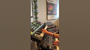 Synth Jam # 15 [ Arturia DrumBrute Impact + Moog DFAM + Moog  Matriarch + Sequential Take 5 ]