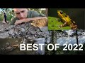 LO MEJOR DEL 2022 (Best of 2022): COSTA RICA, COLOMBIA, PANAMA