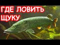 Где искать щуку летом. Ловля щуки на реке. Рыбалка 2019