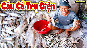 Câu Cá Trụ Điện Trúng Mánh Bầy Cá Chét - Thạch Vui Vẻ ANP