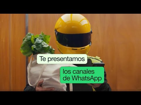 Te presentamos los canales de WhatsApp