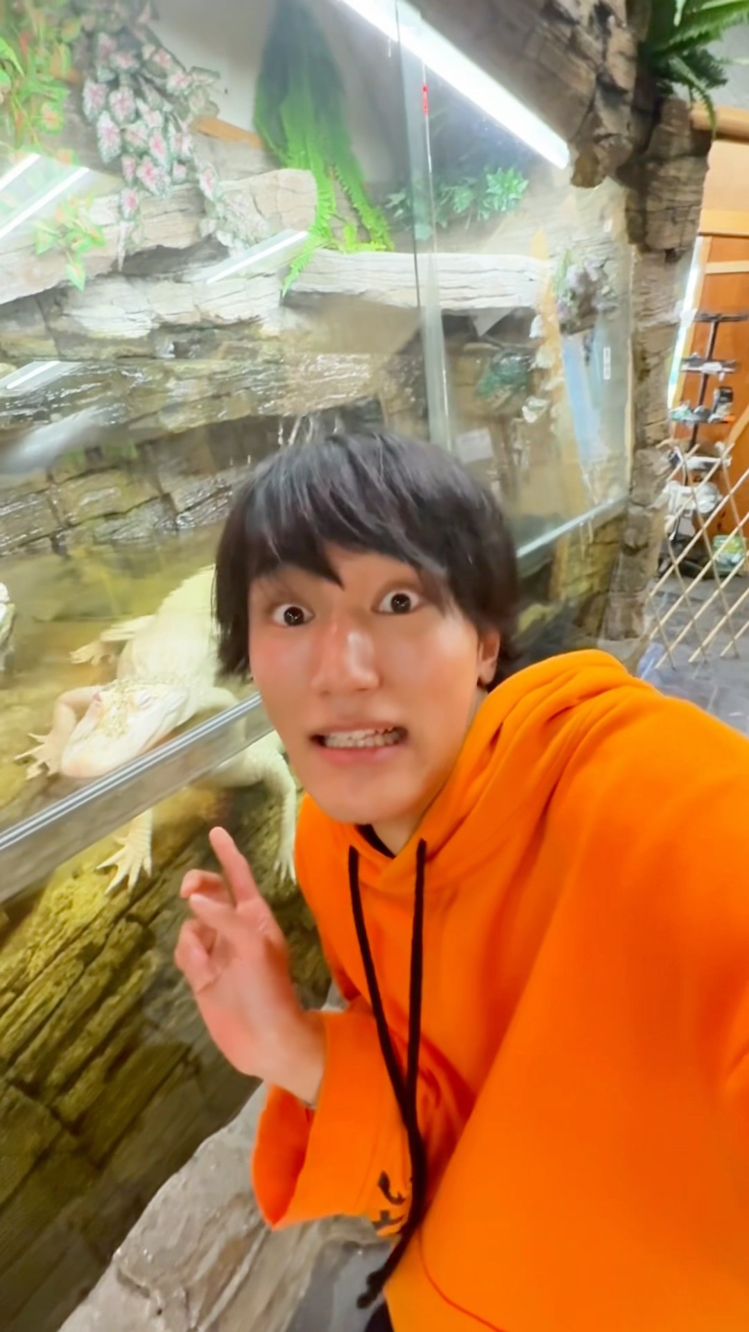 Touch the Big snake?✨The Reptile Zoo??