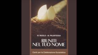 Video thumbnail of "Alleluia, vieni Signore - Palmitessa"