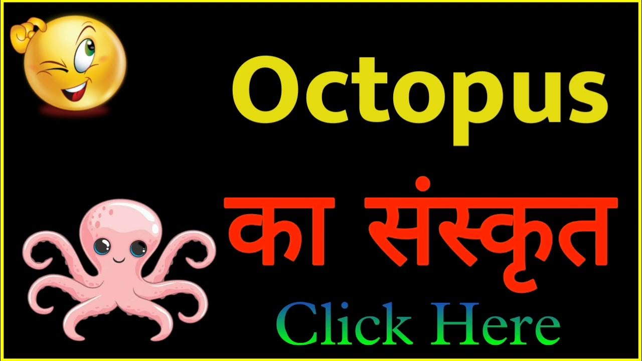 OCTOPUS ko sanskrit mein kya kahate hain OCTOPUS को संस्कृत में क्या