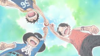 ワンピース One Piece サボ軸に描くアニメ特番 ドレスローザ潜入当初の様子も わ題のネタちゃんねる Youtube