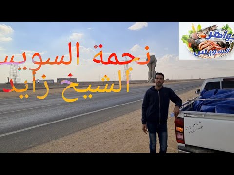 عشاق السمك السويسي الطريق الى مدينة الشيخ زايد اليوم الجمعة ٢٠ نوفمبر محل نجمة السويس