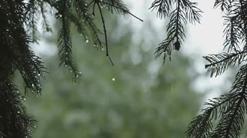 سورة الفاتحة بصوت الشيخ السديس - Surah Al-Fatiha by Sheikh Sudais