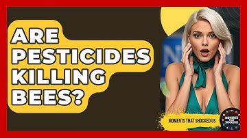 Are Pesticides Killing Bees? - Moments That Shocked Us