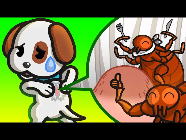 Jaya's Dog Gets Fleas! | Dog Showdown | emojitown class=