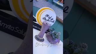 Blueberry Smoothie Beyond The Plate With Amrita Raichand