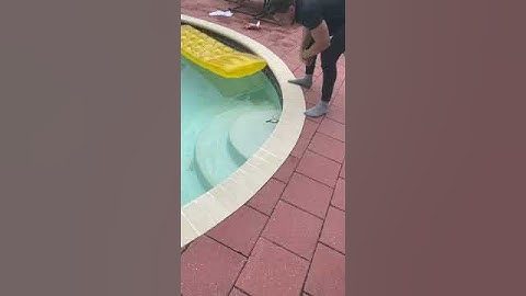 Guy Gets Bitten By Snake While He Tries To Grab Them From Swimming Pool - 1144589
