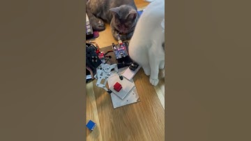 Cánh tay robot qrcode