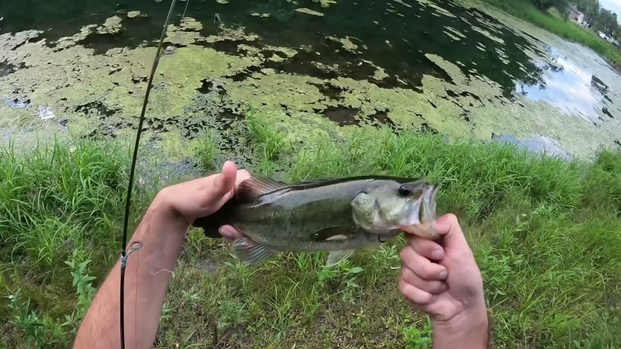 First Voice Over Bass Fishing Trip!