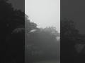 সকালের কোয়াশা #shortvideo #morning