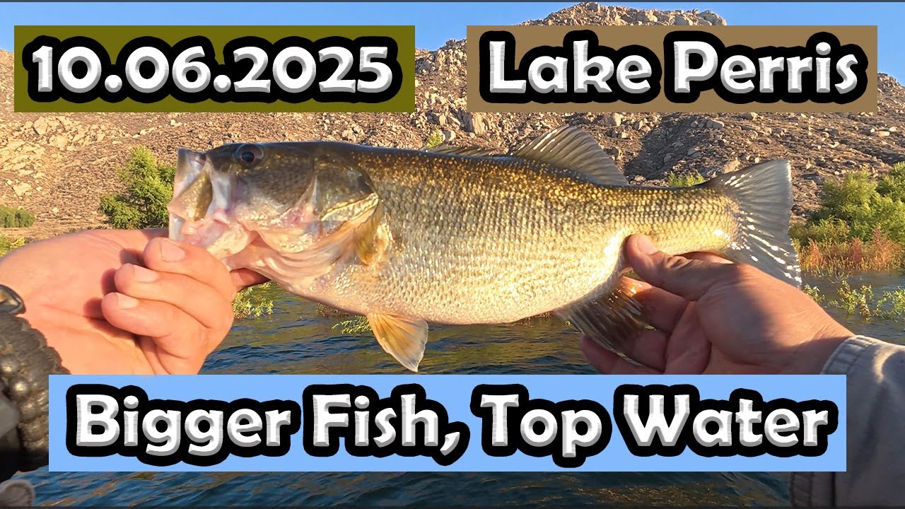 Lake Perris Bass Fishing: Topwater for bigger bass! #lakeperrisfishing #zmanfishingproducts #fishing