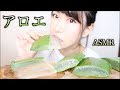 【ASMR】巨大アロエベラを食べる音/Sound Eating Aloe Vera【リベンジ】