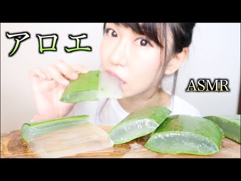 【ASMR】巨大アロエベラを食べる音/Sound Eating Aloe Vera【リベンジ】