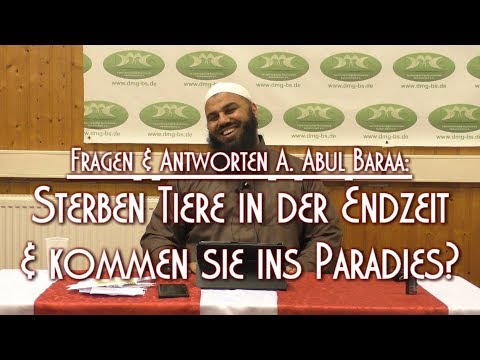 Video: Ist Es Möglich, Für Tiere Zu Beten, Die In Der Orthodoxie Krank Oder Tot Sind?