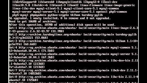Turnkey LAMP Installation Guide (PHP, Apache, MySQL, WebMin)