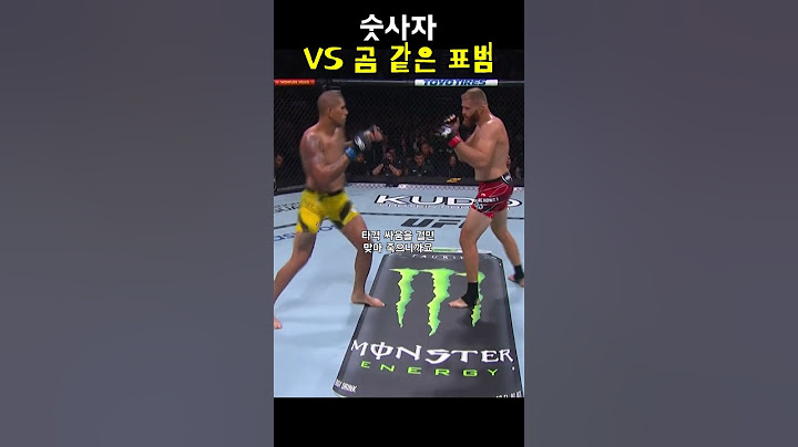 좀 맞아주고 시작하는 알렉스 페레이라 형님