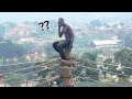 Try not to laugh funnys  funny moments of the year compilation   part 123