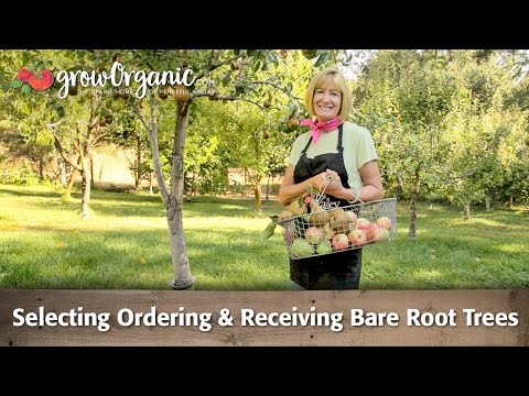 Selecting, Ordering & Receiving Bare Root Trees