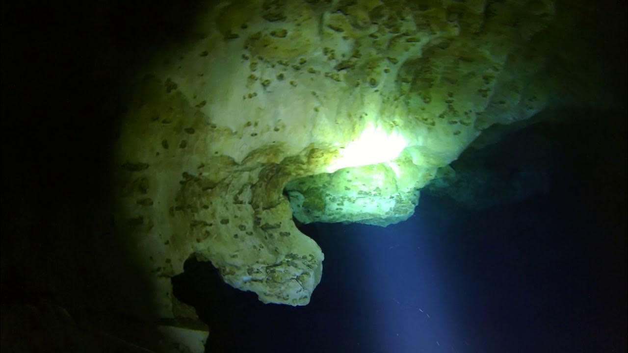 Ginnie Springs Ballroom 2018 YouTube