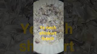 Ye Nech Shinkurt Lixach Xiqim