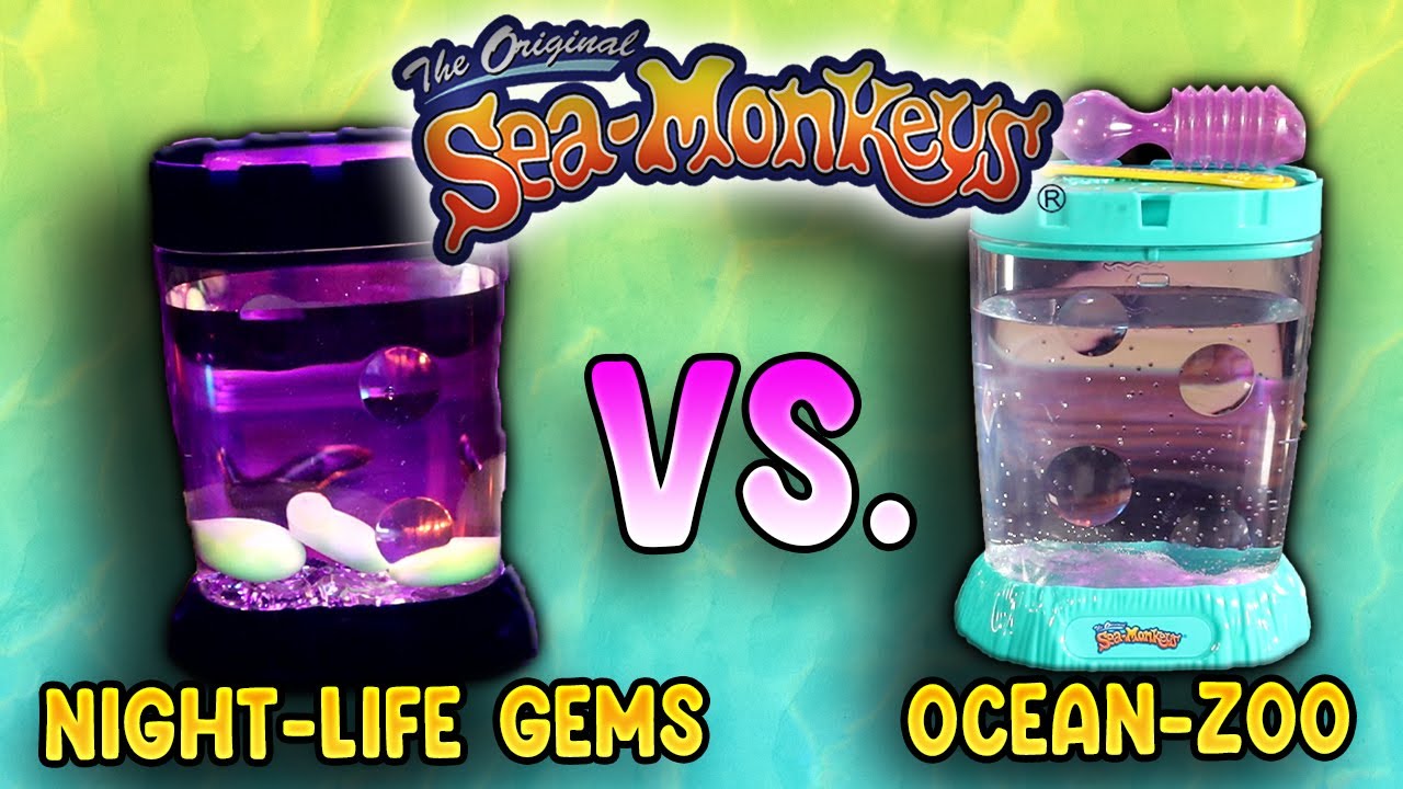  Sea Monkey's Plastic Schylling Ocean Zoo - Colors May Vary for  Fish : Toys & Games