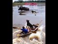 Vui nhộn #tungnguyen #thucung #bolerohay #nhacbolero #nhactrutinh #duet #tancogiaoduyen #tamtrang