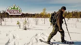 Добрые походы - Лесная Жизнь, Избы, Тайга
